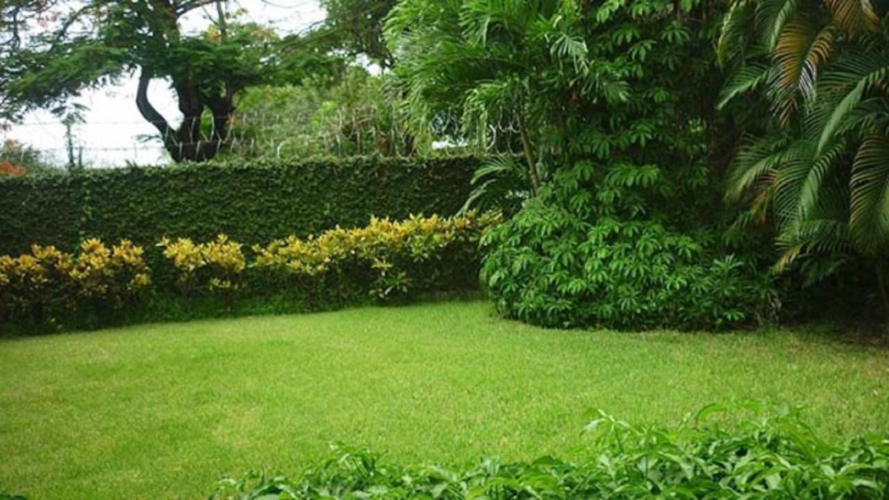 Hotel El Bramadero Liberia Ngoại thất bức ảnh